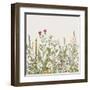 Vector Seamless Floral Border. Herbs and Wild Flowers. Botanical Illustration Engraving Style. Colo-Olga Korneeva-Framed Art Print