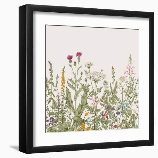 Vector Seamless Floral Border. Herbs and Wild Flowers. Botanical Illustration Engraving Style. Colo-Olga Korneeva-Framed Art Print