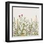 Vector Seamless Floral Border. Herbs and Wild Flowers. Botanical Illustration Engraving Style. Colo-Olga Korneeva-Framed Art Print