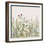 Vector Seamless Floral Border. Herbs and Wild Flowers. Botanical Illustration Engraving Style. Colo-Olga Korneeva-Framed Art Print