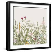 Vector Seamless Floral Border. Herbs and Wild Flowers. Botanical Illustration Engraving Style. Colo-Olga Korneeva-Framed Art Print