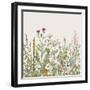 Vector Seamless Floral Border. Herbs and Wild Flowers. Botanical Illustration Engraving Style. Colo-Olga Korneeva-Framed Art Print