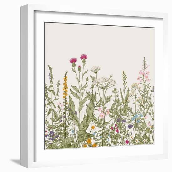 Vector Seamless Floral Border. Herbs and Wild Flowers. Botanical Illustration Engraving Style. Colo-Olga Korneeva-Framed Art Print