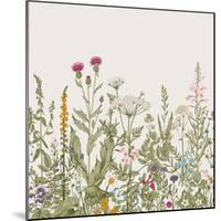 Vector Seamless Floral Border. Herbs and Wild Flowers. Botanical Illustration Engraving Style. Colo-Olga Korneeva-Mounted Art Print