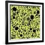 Vector Seamless Pattern Flowers on a Green Background.-Yaroslavna-Framed Art Print