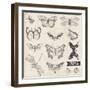 Vector Set: Calligraphic Hand Drawn Butterflies - for Design and Scrapbook - in Vector-woodhouse-Framed Art Print