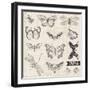 Vector Set: Calligraphic Hand Drawn Butterflies - for Design and Scrapbook - in Vector-woodhouse-Framed Art Print