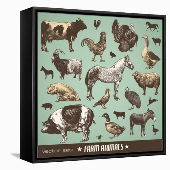 Vector Set: Farm Animals - Various Retro-Style Illustrations-AKaiser-Framed Stretched Canvas