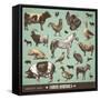 Vector Set: Farm Animals - Various Retro-Style Illustrations-AKaiser-Framed Stretched Canvas
