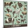 Vector Set: Farm Animals - Various Retro-Style Illustrations-AKaiser-Mounted Art Print