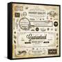 Vector Set of Calligraphic Design Elements: Page Decoration, Premium Quality and Satisfaction Guara-Ozerina Anna-Framed Stretched Canvas