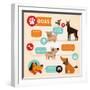 Vector Set of Infographics Design Elements - Dogs-venimo-Framed Art Print