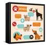 Vector Set of Infographics Design Elements - Dogs-venimo-Framed Stretched Canvas