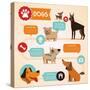 Vector Set of Infographics Design Elements - Dogs-venimo-Stretched Canvas