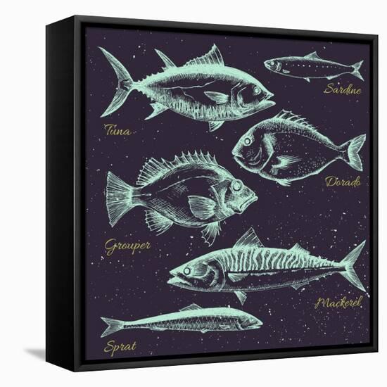 Vector Set of Sea Fish Menu, Shrimp, Fish, Dorado, Mackerel, Sprats, Sardines,Retro Graphic Line Dr-Anastasia Zenina-Lembrik-Framed Stretched Canvas