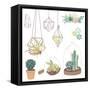Vector Set with Succulents, Flowers and Glass Terrariums-Alisa Foytik-Framed Stretched Canvas