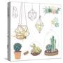 Vector Set with Succulents, Flowers and Glass Terrariums-Alisa Foytik-Stretched Canvas