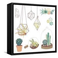 Vector Set with Succulents, Flowers and Glass Terrariums-Alisa Foytik-Framed Stretched Canvas
