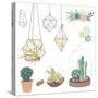 Vector Set with Succulents, Flowers and Glass Terrariums-Alisa Foytik-Stretched Canvas