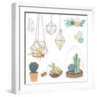 Vector Set with Succulents, Flowers and Glass Terrariums-Alisa Foytik-Framed Art Print