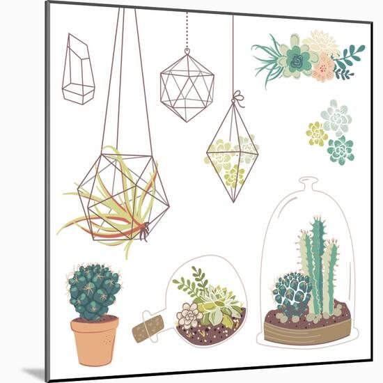 Vector Set with Succulents, Flowers and Glass Terrariums-Alisa Foytik-Mounted Art Print