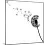 Vector Silhouette Graphic Illustration Depicting Dandelion Seed Dispersal-Robert F Balazik-Mounted Art Print