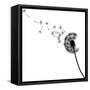 Vector Silhouette Graphic Illustration Depicting Dandelion Seed Dispersal-Robert F Balazik-Framed Stretched Canvas