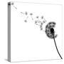 Vector Silhouette Graphic Illustration Depicting Dandelion Seed Dispersal-Robert F Balazik-Stretched Canvas