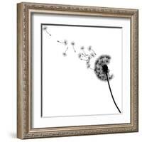 Vector Silhouette Graphic Illustration Depicting Dandelion Seed Dispersal-Robert F Balazik-Framed Art Print