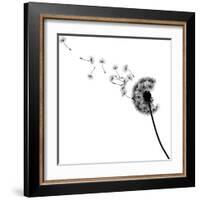 Vector Silhouette Graphic Illustration Depicting Dandelion Seed Dispersal-Robert F Balazik-Framed Art Print