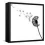 Vector Silhouette Graphic Illustration Depicting Dandelion Seed Dispersal-Robert F Balazik-Framed Stretched Canvas