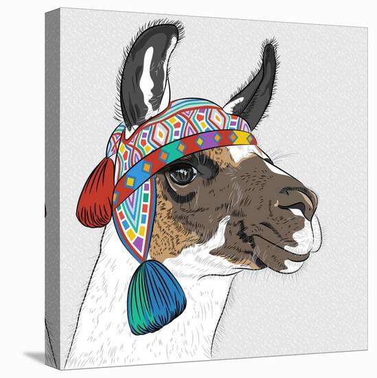 Vector Sketch of Alpaca-kavalenkava volha-Stretched Canvas