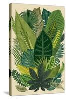 Vector Vintage Composition. Exotic Leaves. Botanical Classic Illustration.-Olga Korneeva-Stretched Canvas