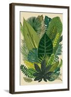 Vector Vintage Composition. Exotic Leaves. Botanical Classic Illustration.-Olga Korneeva-Framed Art Print