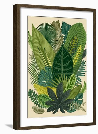 Vector Vintage Composition. Exotic Leaves. Botanical Classic Illustration.-Olga Korneeva-Framed Art Print