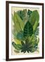 Vector Vintage Composition. Exotic Leaves. Botanical Classic Illustration.-Olga Korneeva-Framed Art Print