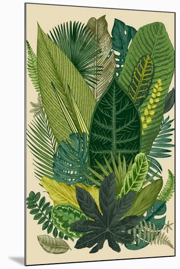 Vector Vintage Composition. Exotic Leaves. Botanical Classic Illustration.-Olga Korneeva-Mounted Art Print