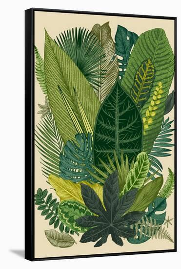 Vector Vintage Composition. Exotic Leaves. Botanical Classic Illustration.-Olga Korneeva-Framed Stretched Canvas