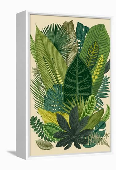 Vector Vintage Composition. Exotic Leaves. Botanical Classic Illustration.-Olga Korneeva-Framed Stretched Canvas