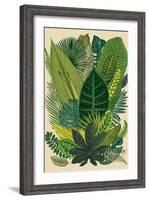 Vector Vintage Composition. Exotic Leaves. Botanical Classic Illustration.-Olga Korneeva-Framed Art Print