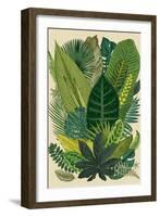 Vector Vintage Composition. Exotic Leaves. Botanical Classic Illustration.-Olga Korneeva-Framed Art Print