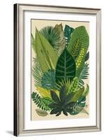 Vector Vintage Composition. Exotic Leaves. Botanical Classic Illustration.-Olga Korneeva-Framed Art Print