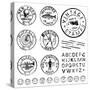 Vector Vintage Stamp and Icons. Create Your Own Retro Stamps, Labels and Badges.-vectorkat-Stretched Canvas