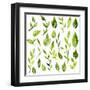 Vector Watercolor Green Leaves and Branches-cat_arch_angel-Framed Art Print