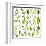 Vector Watercolor Green Leaves and Branches-cat_arch_angel-Framed Art Print