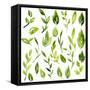 Vector Watercolor Green Leaves and Branches-cat_arch_angel-Framed Stretched Canvas