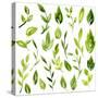 Vector Watercolor Green Leaves and Branches-cat_arch_angel-Stretched Canvas