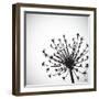 Vector Wild Herb Umbrella-Vaver Anton-Framed Photographic Print