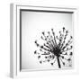 Vector Wild Herb Umbrella-Vaver Anton-Framed Photographic Print