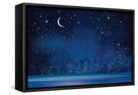 Vector Winter Wonderland Night Background.-rvika-Framed Stretched Canvas